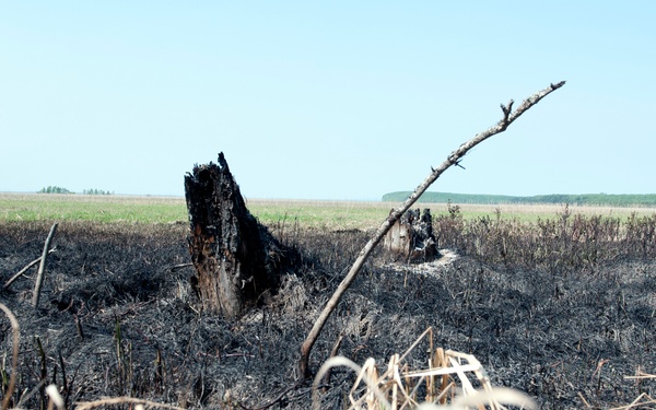 A wildfire flares up on JBER