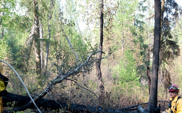 A wildfire flares up on JBER