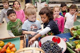 DoD, USDA expand fruit, vegetable support to schools into eastern PA
