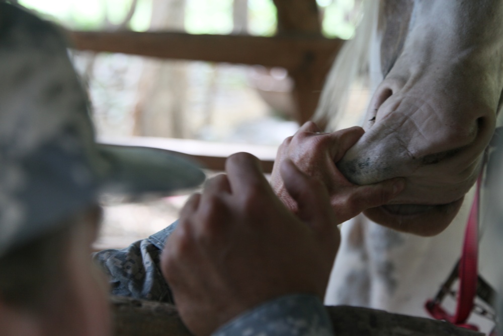 Beyond the Horizon 2014: Guatemala