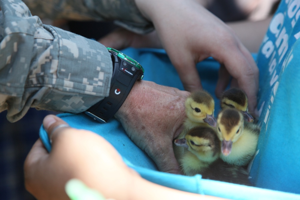Beyond the Horizon 2014: Guatemala