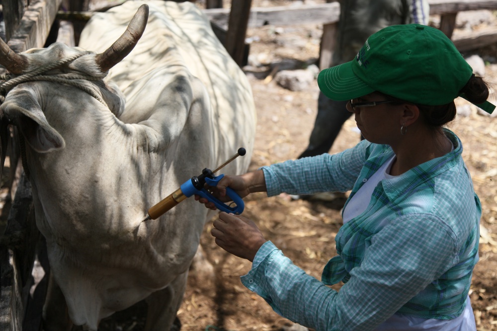 Beyond the Horizon 2014: Guatemala