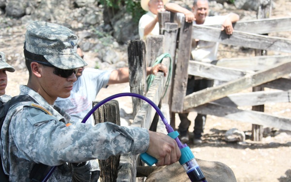 Beyond the Horizon 2014: Guatemala