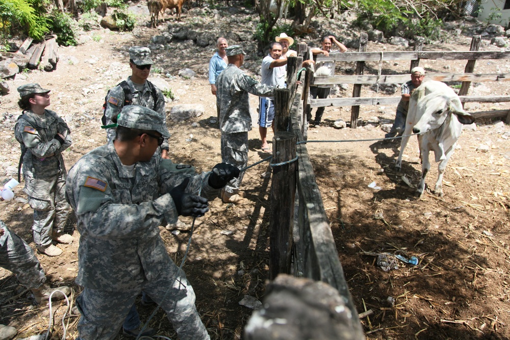 Beyond the Horizon 2014: Guatemala