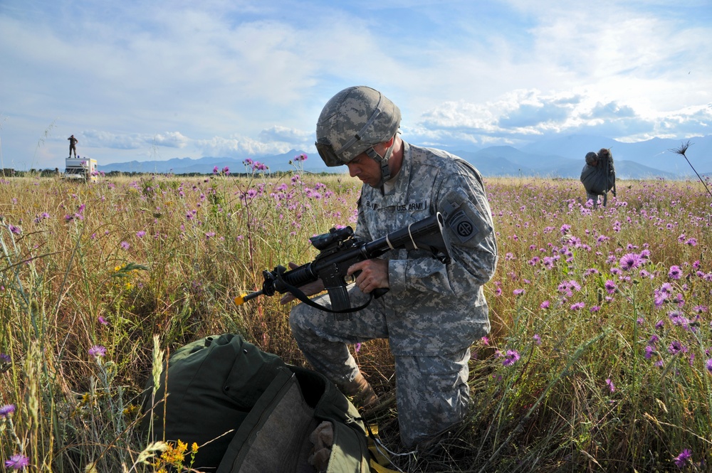 Allied Forge 2014
