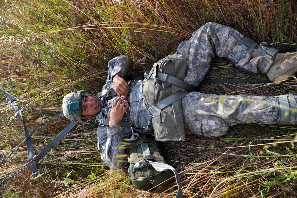 Allied Forge 2014
