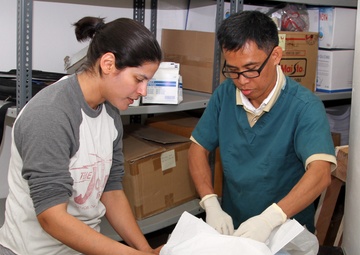 US Army veterinarians work with K'S PATH to address cat crisis