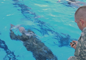 German armed forces Military Proficiency Badge