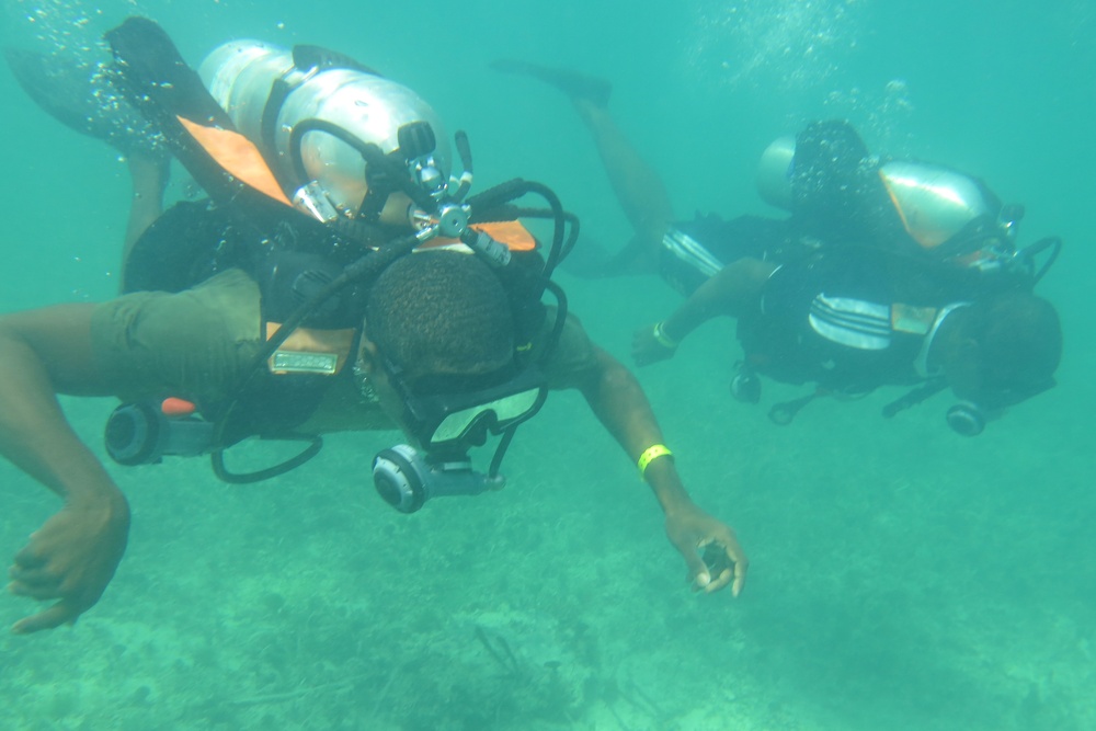 Tradewinds dive training