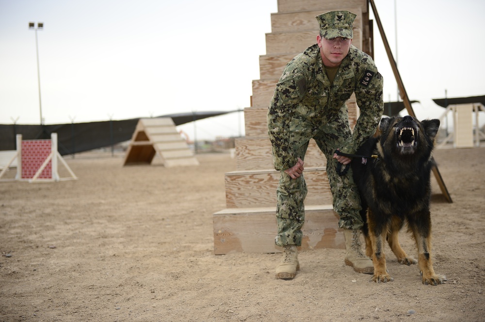 Camp Lemonnier Security Forces dog handler and Baxter help secure Camp Lemonnier