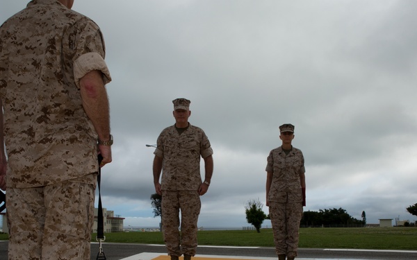 3rd MLG promotes bulldog ‘Nellie’