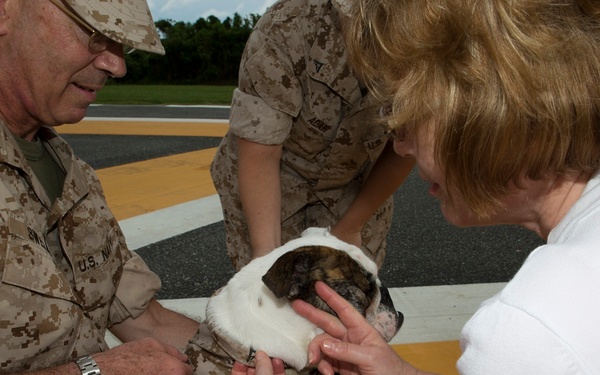 3rd MLG promotes bulldog ‘Nellie’