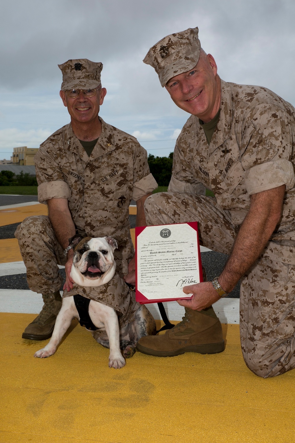 3rd MLG promotes bulldog ‘Nellie’