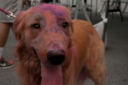 Ready, set, throw: EFMP hosts color run to raise autism awareness