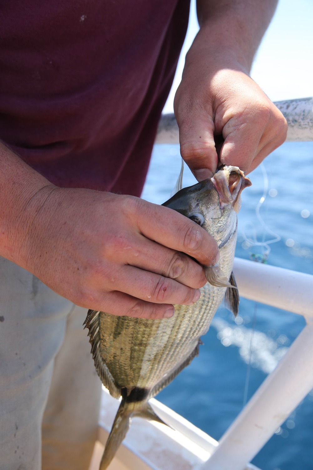 Hundreds hooked on Morehead City fishing trip