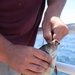 Hundreds hooked on Morehead City fishing trip