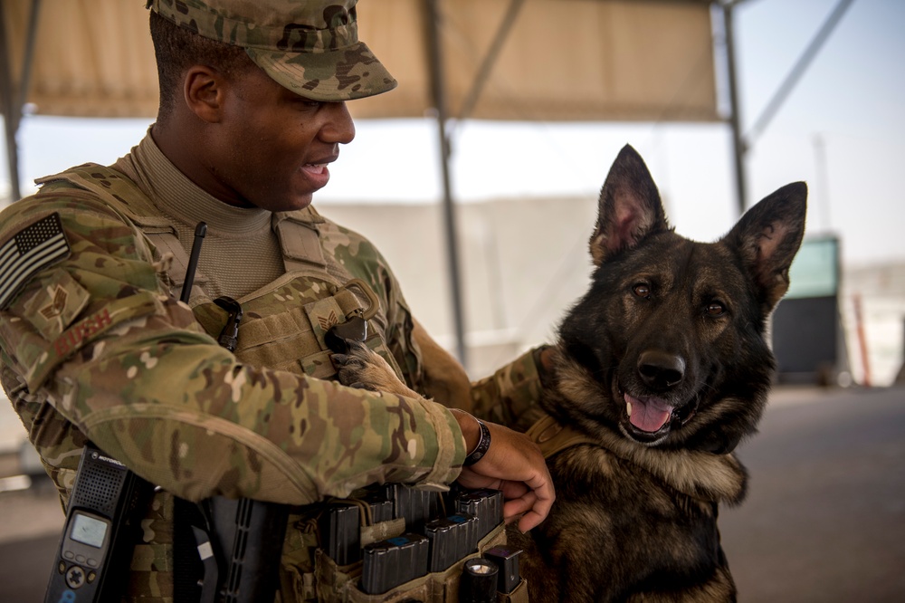 386th ESFS military working dogs