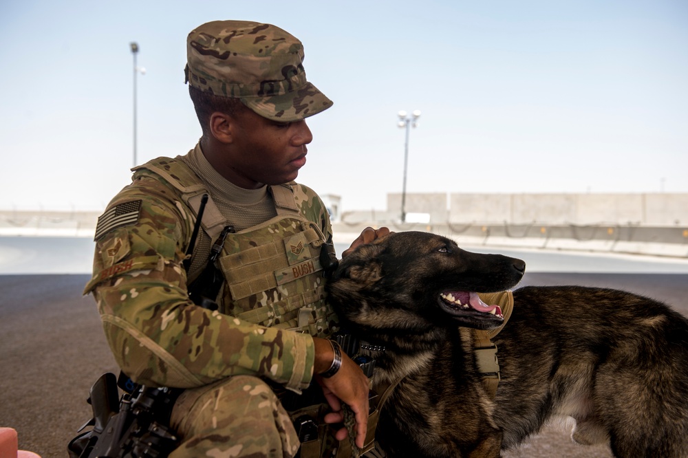 386th ESFS military working dogs