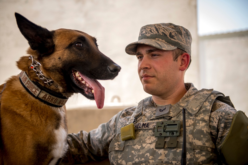 386th ESFS military working dogs