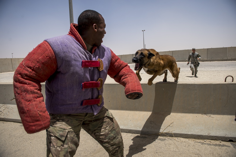 386th ESFS military working dogs