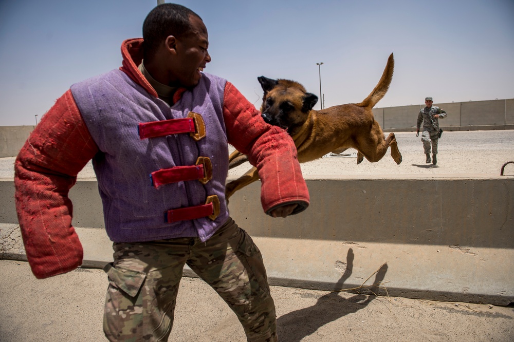 386th ESFS military working dogs