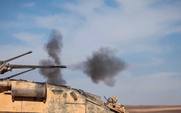 22nd MEU LAVs train with JAF APCs during Eager Lion 2014