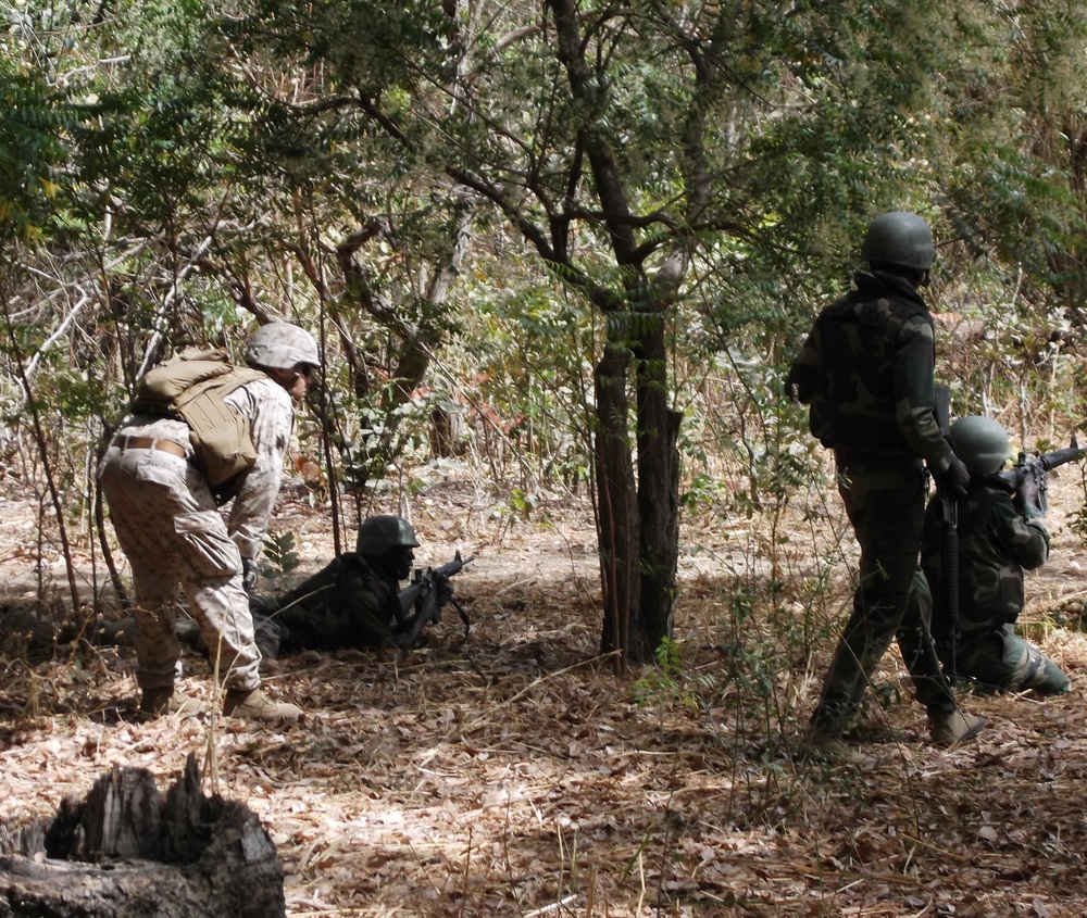 Senegalese Commandos, US Marines finish ‘train the trainer’ course