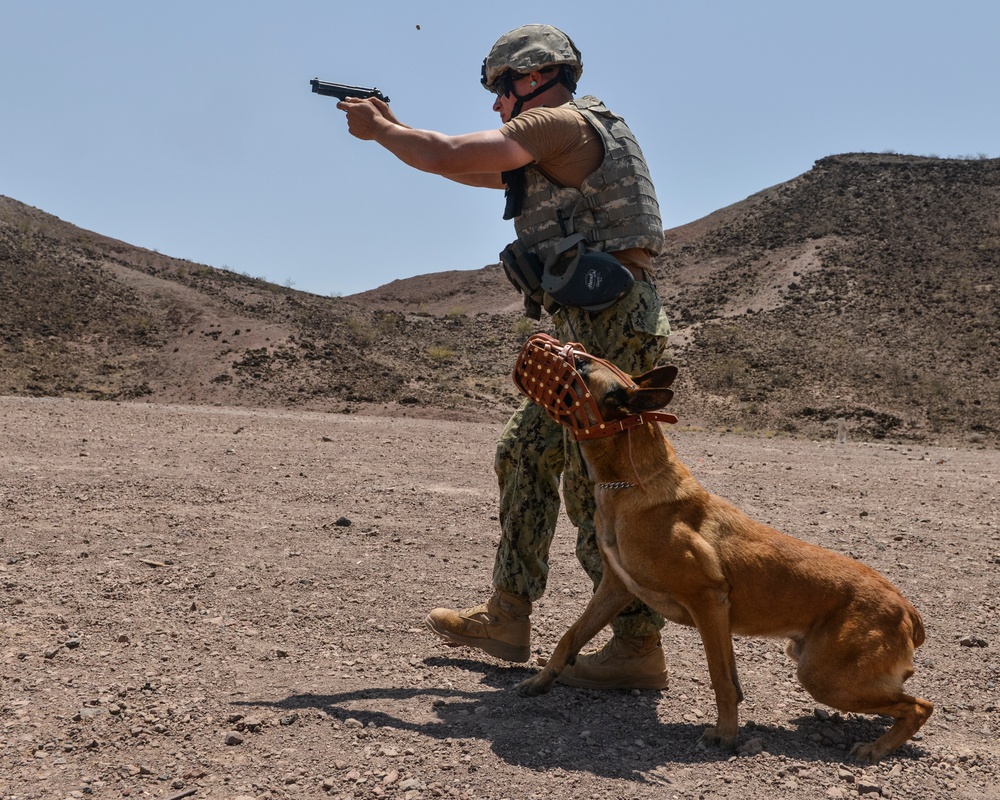 K9 range