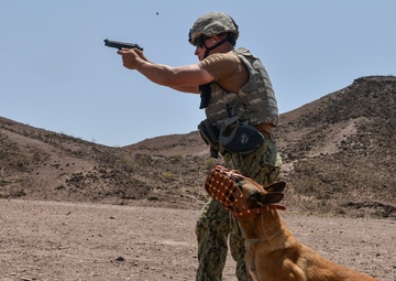 K9 range