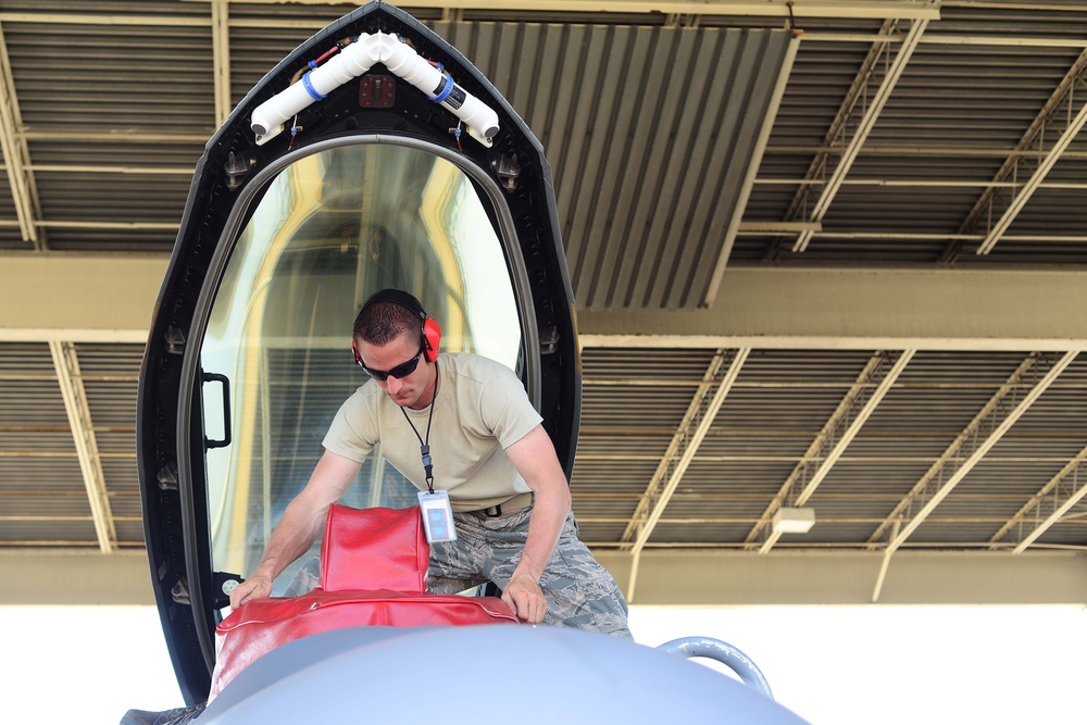 On the line: An F-22 Raptor dedicated crew chief