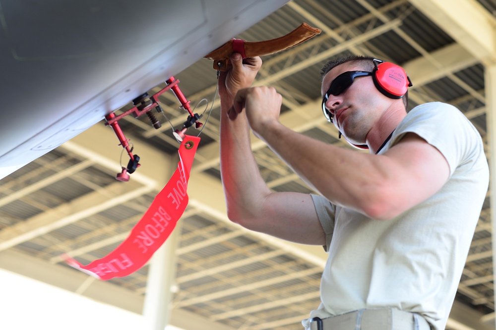 On the line: An F-22 Raptor dedicated crew chief