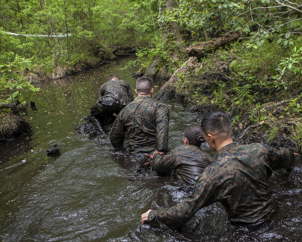 Marines Endure Endurance Course