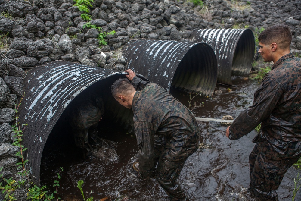 Marines Endure Endurance Course