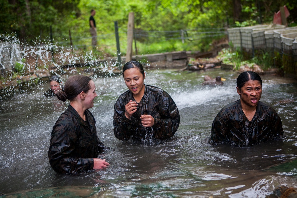 Marines Endure Endurance Course