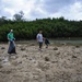 Beach cleanup