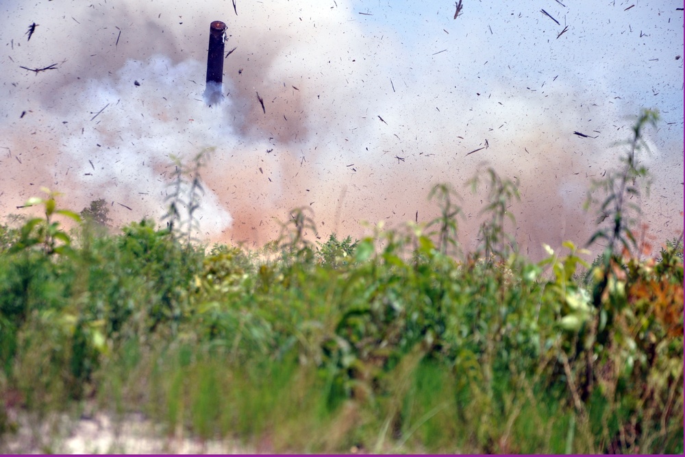 1222nd Engineer Company (Sapper) live fire