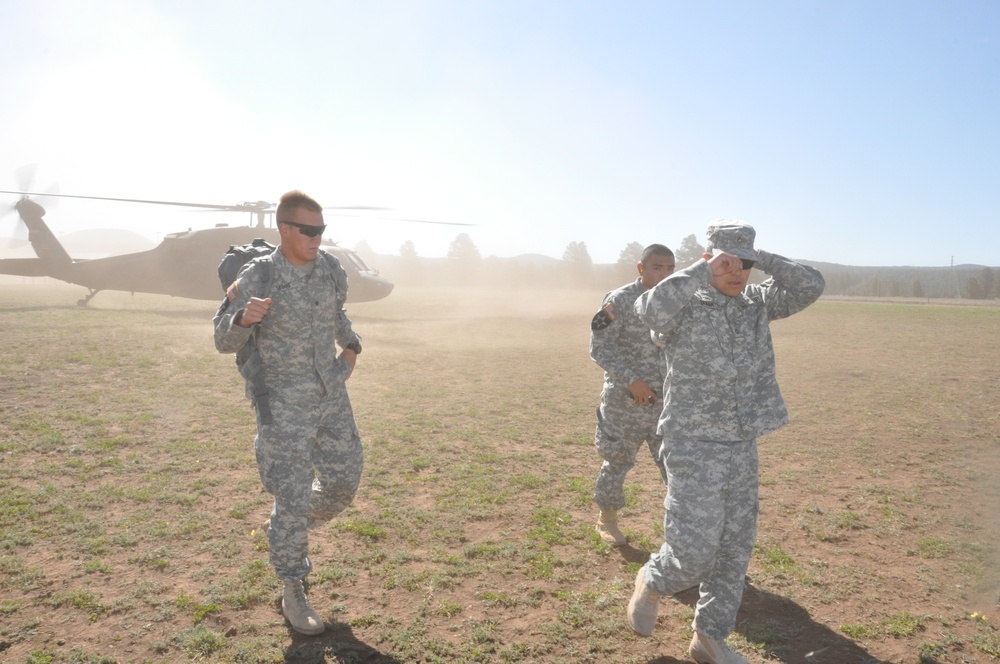 Three Arizona Army National Guard Soldiers receive Purple Heart