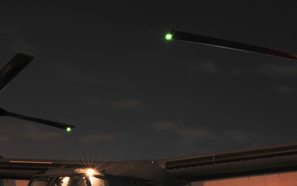 Osprey of the night
