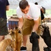 Soldiers give affection and attention to abandoned animals