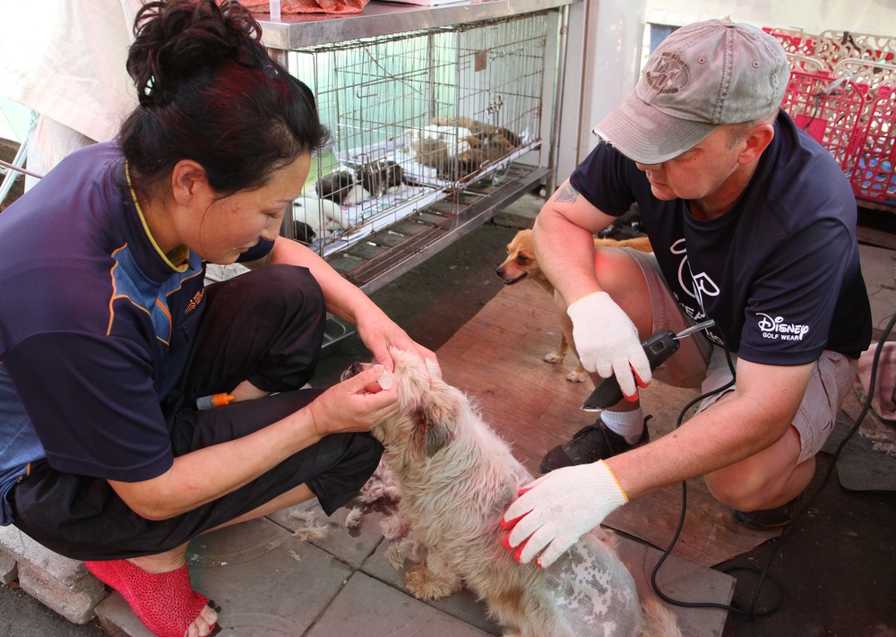 Soldiers give affection and attention to abandoned animals