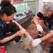 Soldiers give affection and attention to abandoned animals