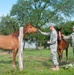 III Corps HHBN Soldiers make some equestrian friends