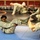 Modern Army Combative Training Level 1