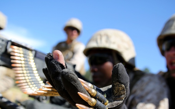 “Lone Star” battalion maintains readiness during annual training