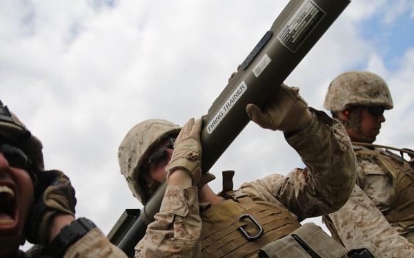 “Lone Star” battalion maintains readiness during annual training