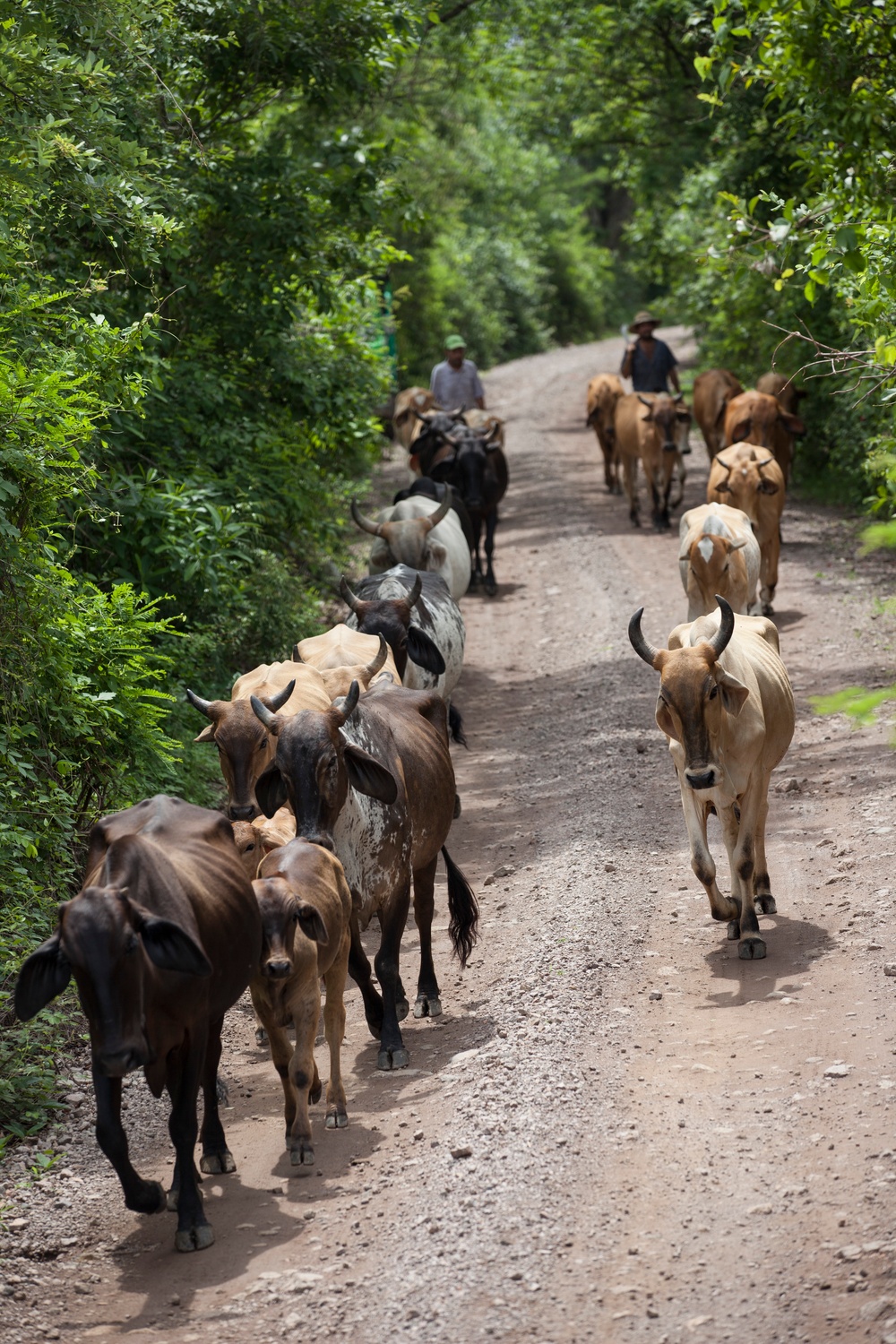 Beyond The Horizon 2014: Guatemala