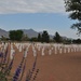 Fort Bliss remembers