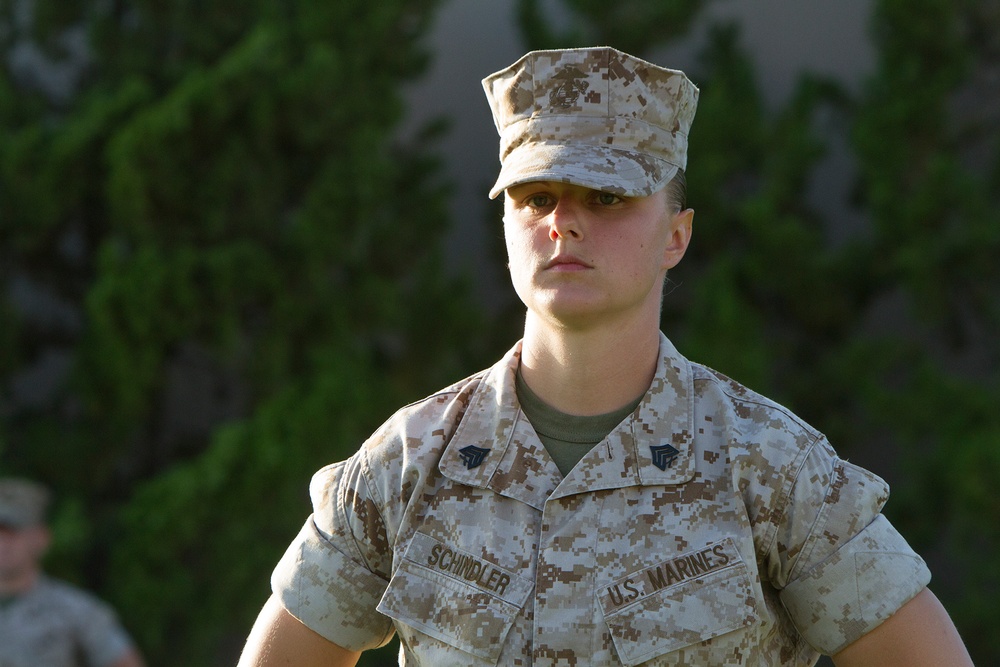 Struck by bolt of service: San Diego Chargers recognized