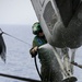 22nd MEU Aircraft Maintenance