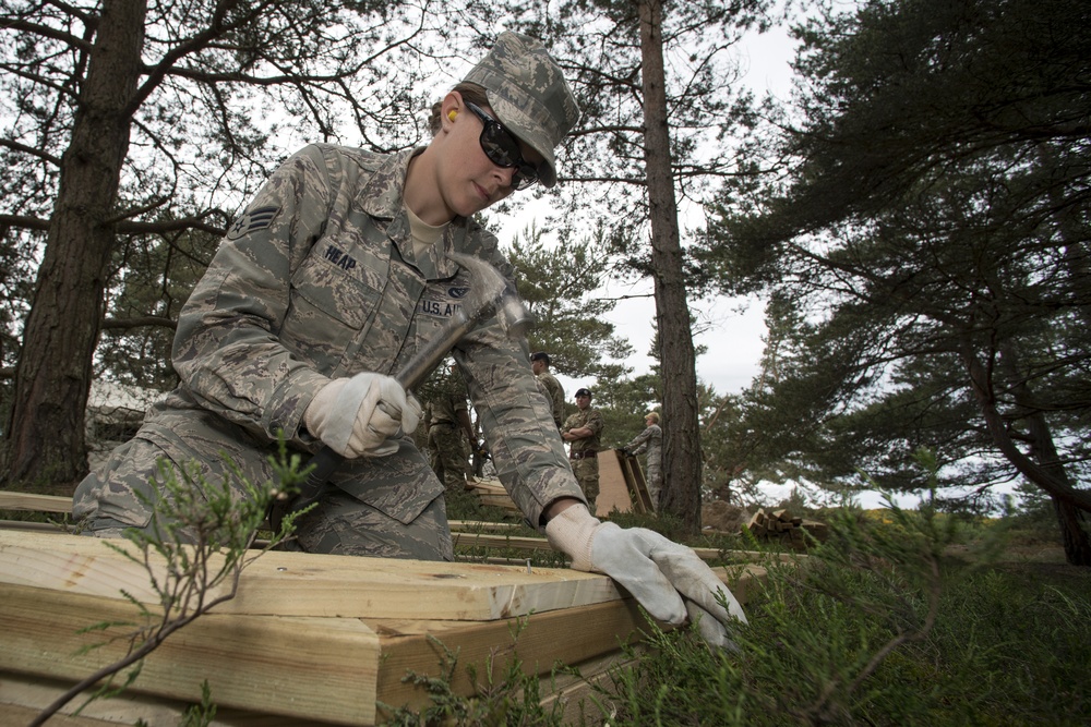 Exercise Flying Rose